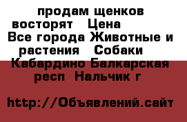 продам щенков восторят › Цена ­ 7 000 - Все города Животные и растения » Собаки   . Кабардино-Балкарская респ.,Нальчик г.